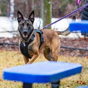 Meet your Posher, Edree